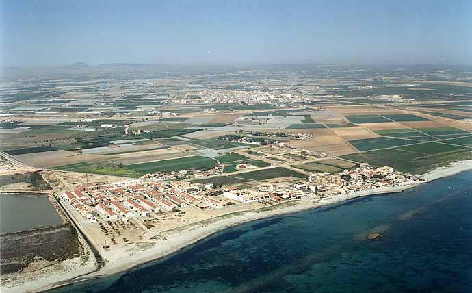 apina2.jpg