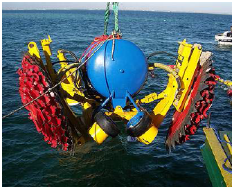 duchi_octopus_chile1.png