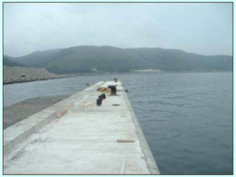 muelles-30.jpg
