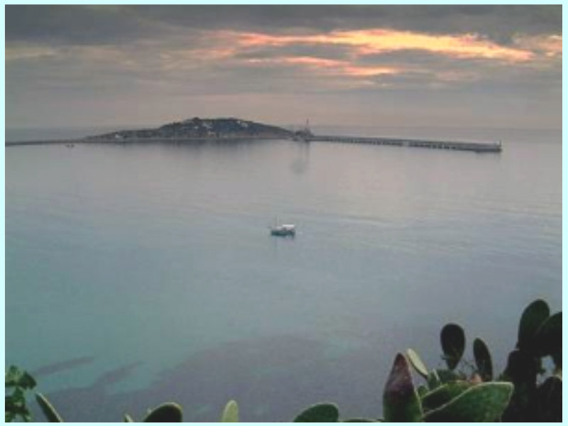 BASIC PROJECT FOR THE ESPLANADE AND COMMERCIAL QUAYS SHELTERED BY THE BOTAFOC BREAKWATER IN THE PORT OF IBIZA. BALEARIC ISLANDS (SPAIN) 2 pantalanes 23