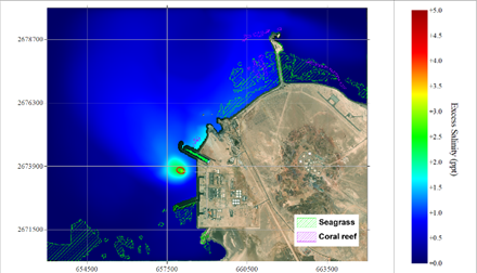 shuwe_2223_imagen2.png